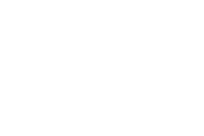 Logo BIOTRANSPORTS